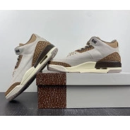 CT8532-102 Jordan Air Palomino 3 0816